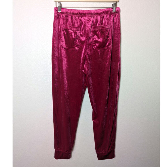 Anthropologie Saturday Sunday Pink Velour Jogger Pants Women Size S Soft Barbie - Picture 2 of 9